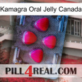 Kamagra Oral Jelly Canada 13